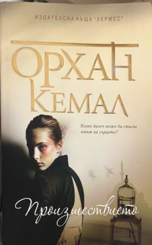 Произшествието - Орхан Кемал