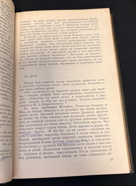 Египет Рамсесов. Повседневная жизнь египтян во времена великих фараонов (2 539) - Пьер Монтэ