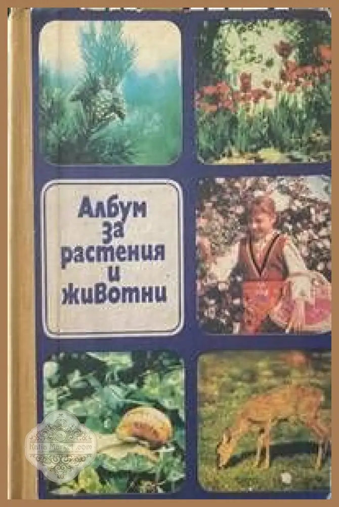 Албум за растения и животни - Игорь Акимушкин - Книги