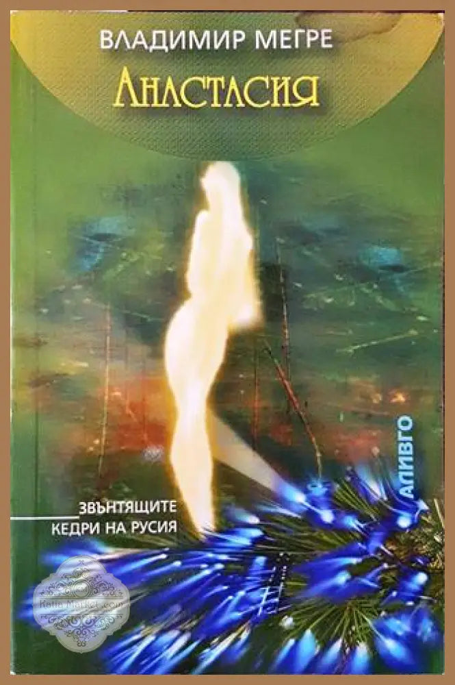 Анастасия - Владимир Мегре - Книга