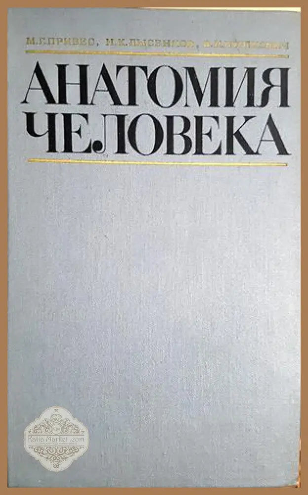 Анатомия человека - М. Г. Привес Н. К. Лысенков В. И. Бушкович - Книга