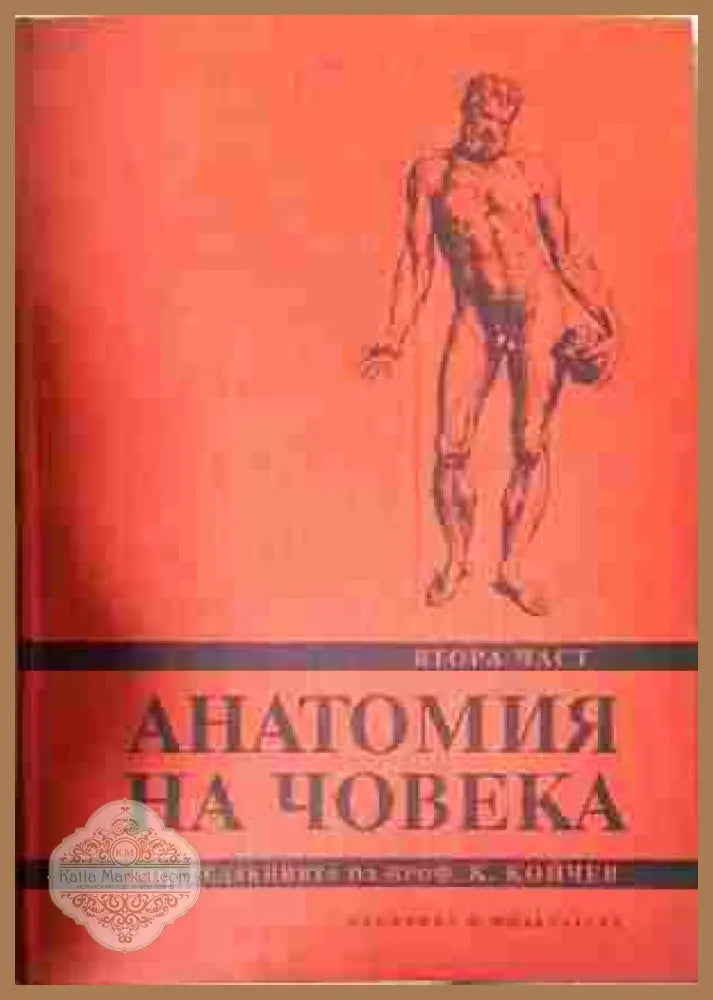 Анатомия на човека - Част 2