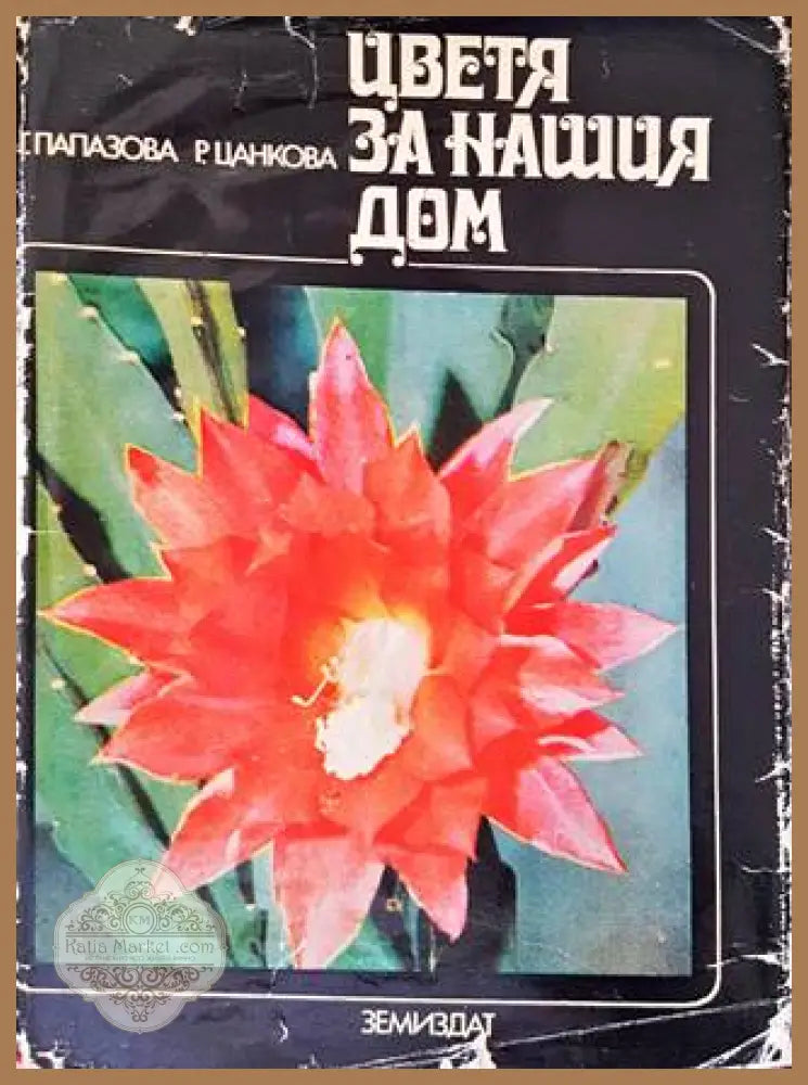 Цветя за нашия дом - Гена Папазова Радка Цанкова - Книги