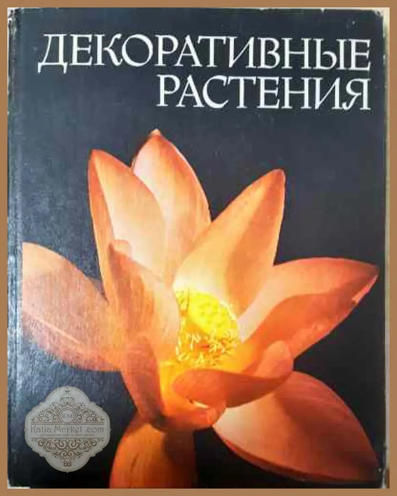 ДекоративньI растения - Колектив - Книги