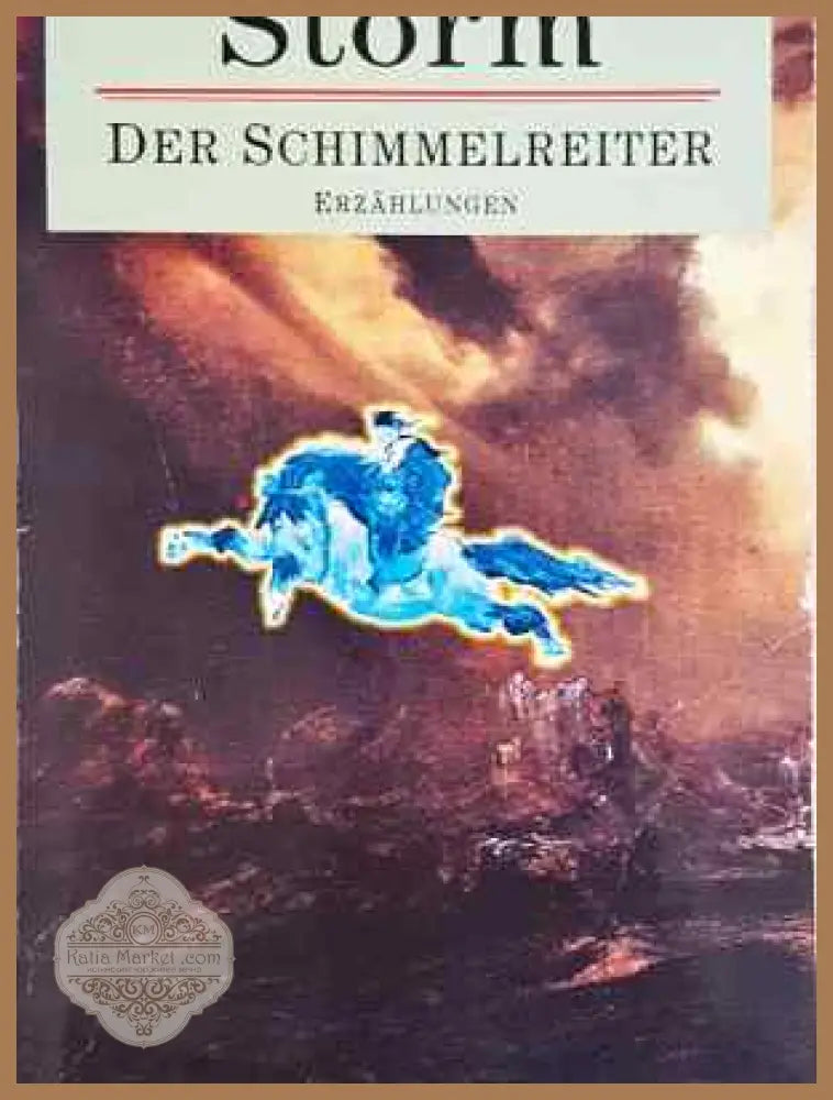 Der Schimmelreiter - Theodor Storm - Книга