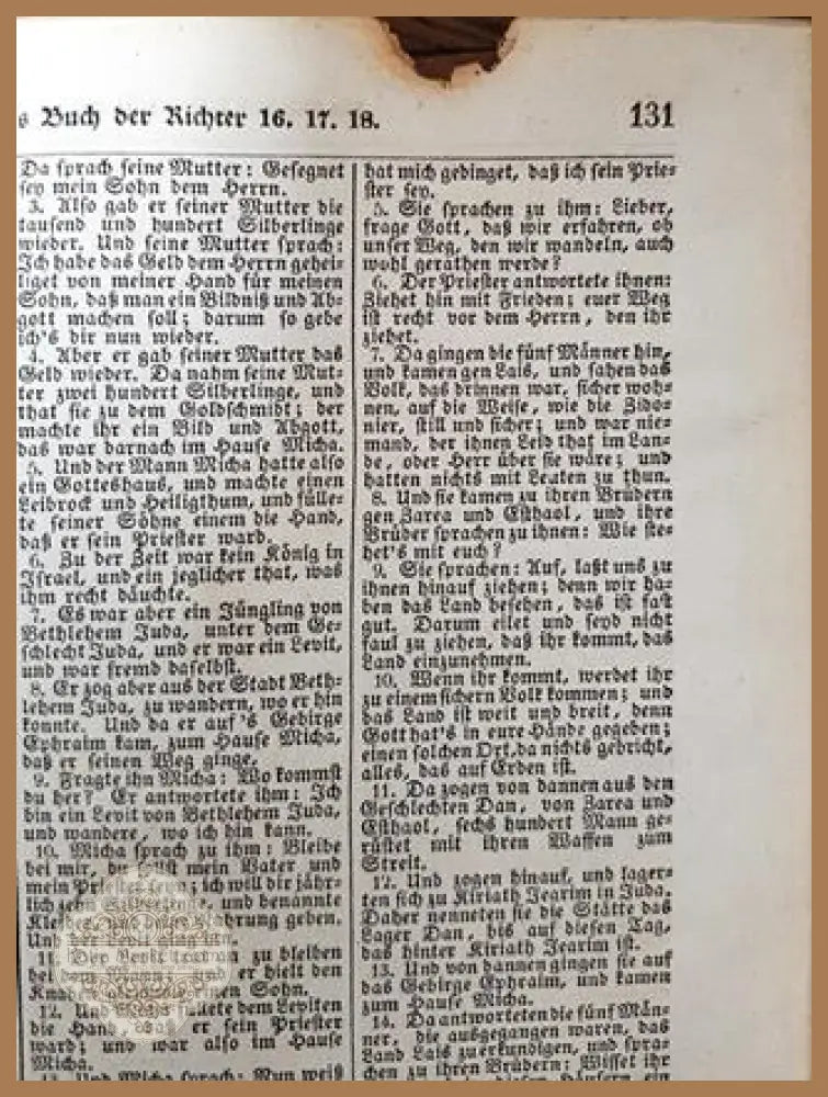 Die Bibel oder die ganze heilige Schrift des Alten und Neuen Testaments - Martin Luther - Превод D. Martin Luther