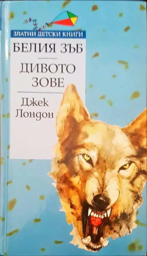 Духовни водачи на България (498) - Книга