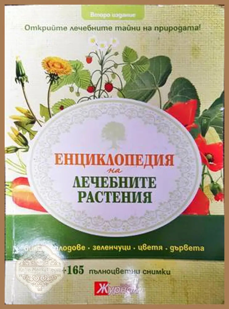 Енциклопедия на лечебните растения - Колектив - Книги