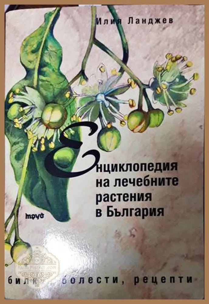 Енциклопедия на лечебните растения в България - Илия Ланджев - Книги