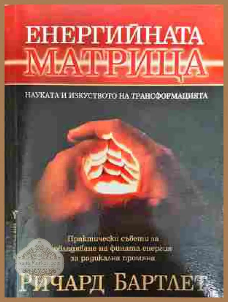 Енергийната матрица - Ричард Бартлет