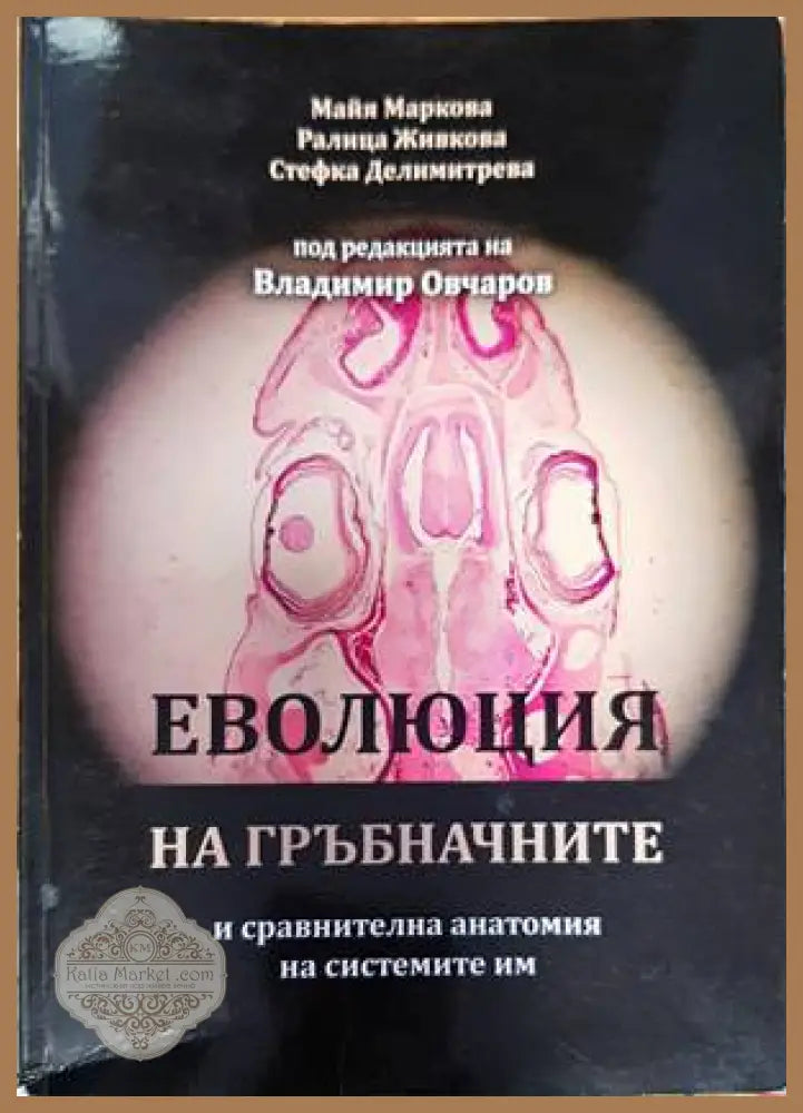Еволюция на гръбначните и сравнителна анатомия на системите им - Майя Маркова Ралица Живкова Стефка Делимитрева - Книги