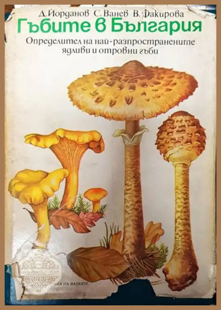 Гъбите в България (492) - Книга