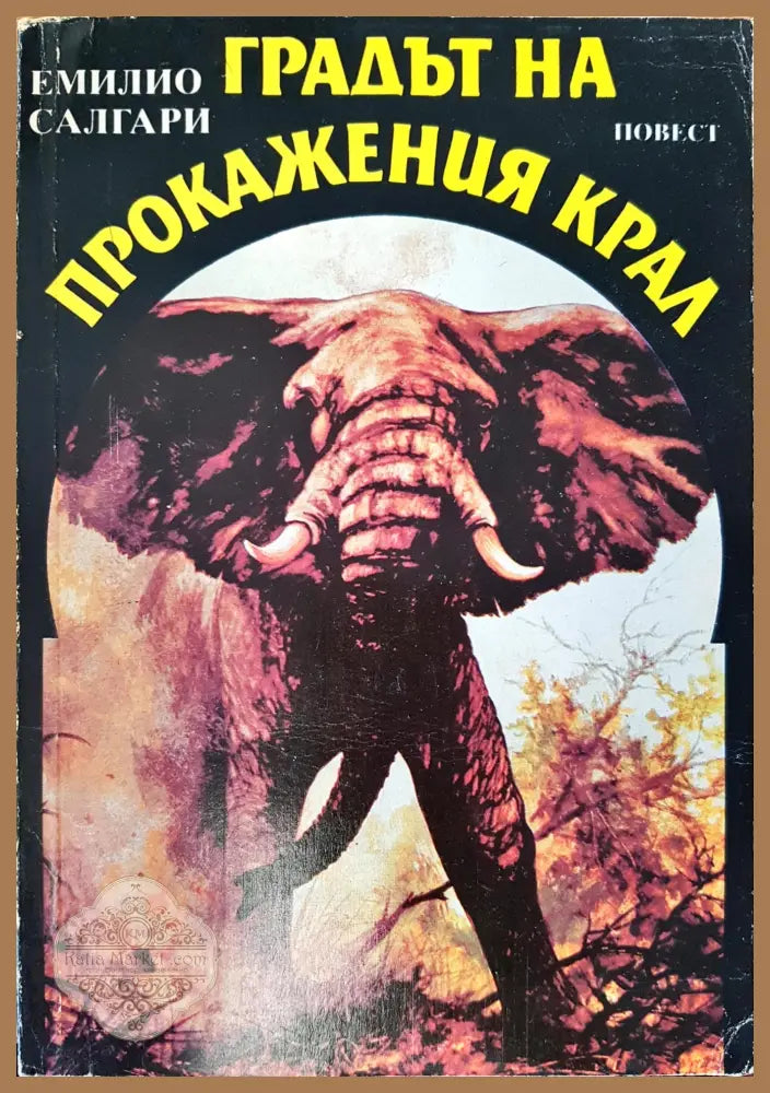 Градът на прокажения крал - Емилио Салагри - Книги