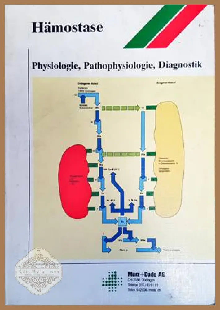 Hämostase: Physiologie, Pathophysiologie, Diagnostik - Reiner Spaethe