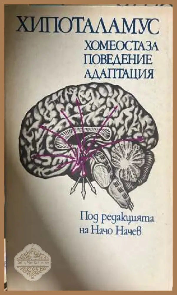 Хипоталамус - хомеостаза, поведение, адаптация