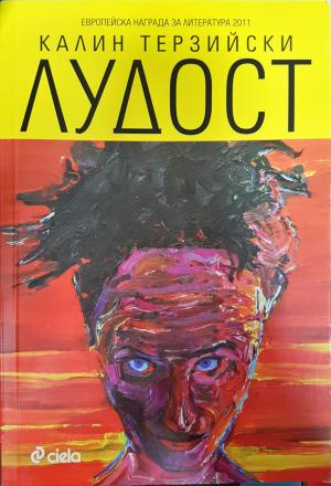 Лудост - Калин Терзийски
