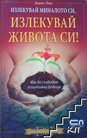 Излекувай миналото си, излекувай живота си! – Дениз Лин