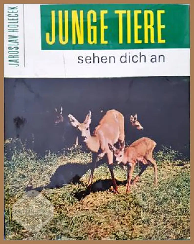Junge tiere sehen dich an - Jaroslav Holecek - Книги