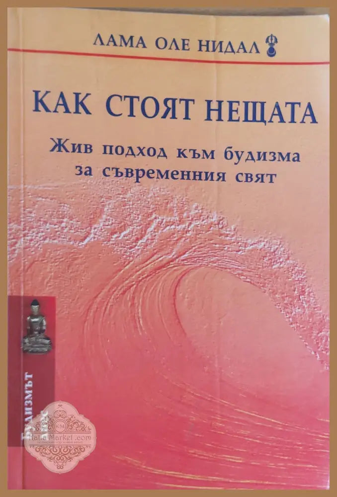 Как стоят нещата Жив подход към будизма за съвременния свят - Лама Оле Нидал - Книги