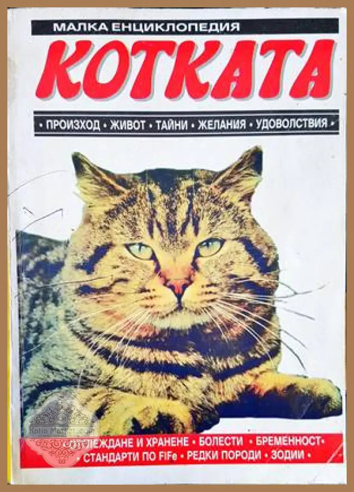 Котката - Колектив - Книги