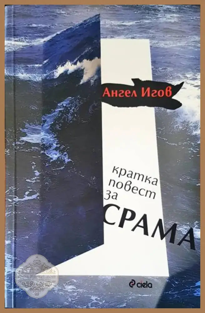 Кратка повест за срама (586) - Книга