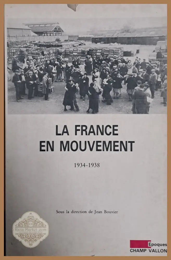 La France En Mouvement 1934-1938 - Елена Кочемировская Александр Фомин - Книги