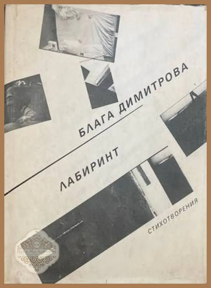 Лабиринт - Блага Димитрова - Книги