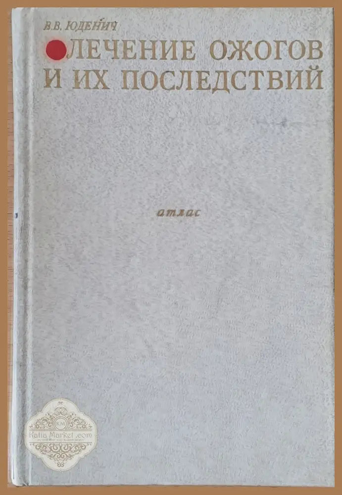 Лечение ожогов и их последствий - В. В. Юденич - Книги