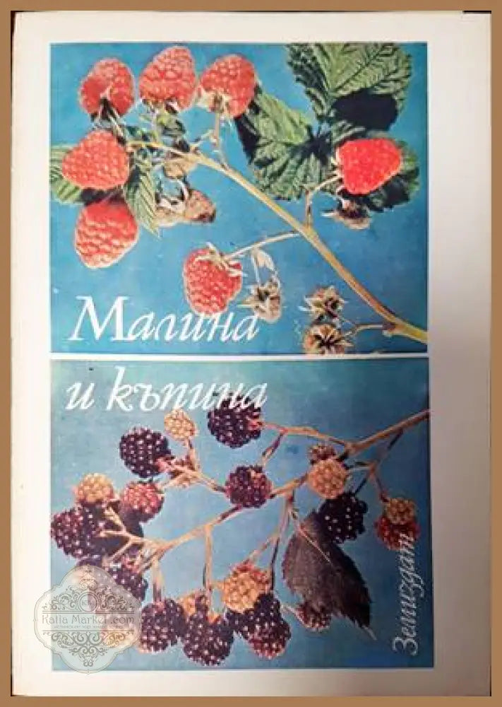 Малина и къпина - Александър Иванов - Книги