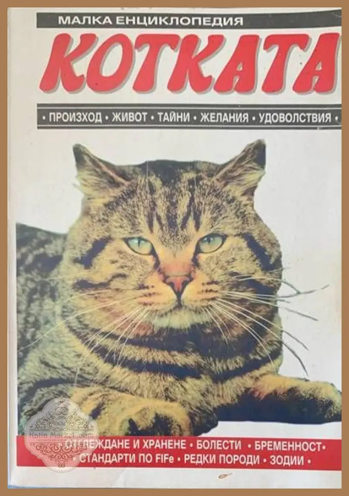Малка енциклопедия. Котката - Здравка Петрова - Книги