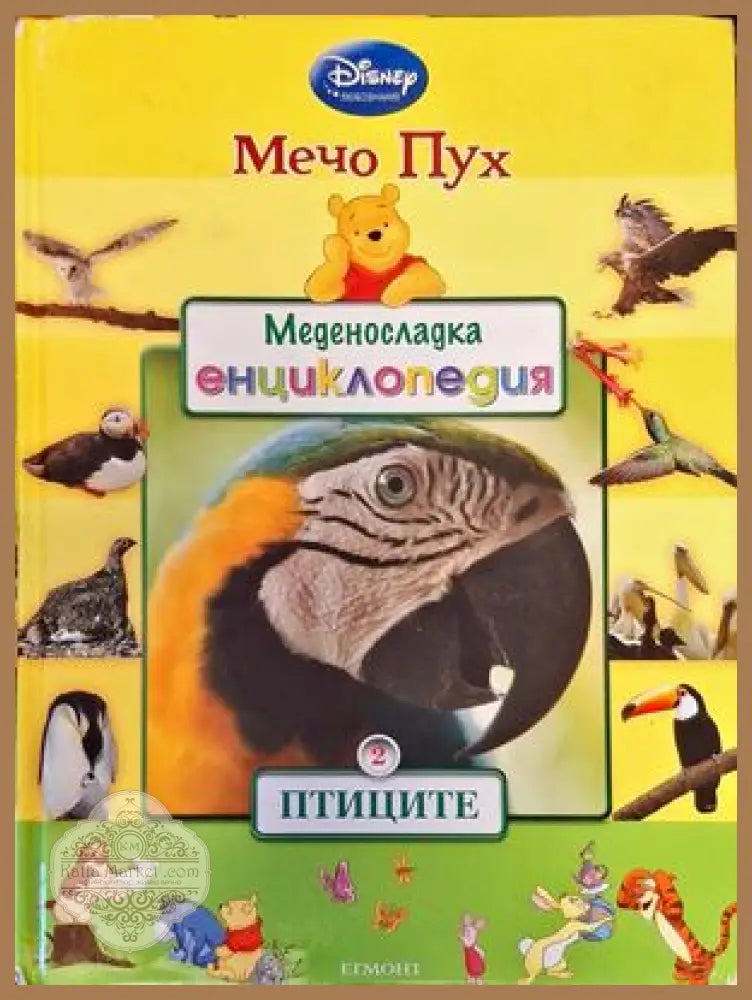 Меденосладка енциклопедия: Птиците - Авторски колектив - Книги