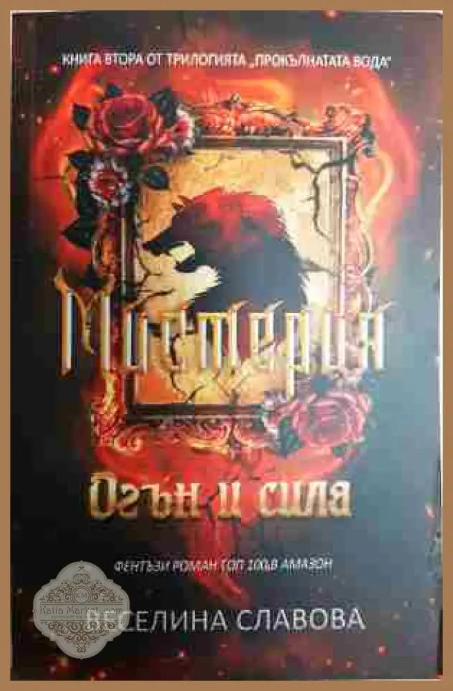 Мистерия: Огън и сила - Веселина Славова - Книга