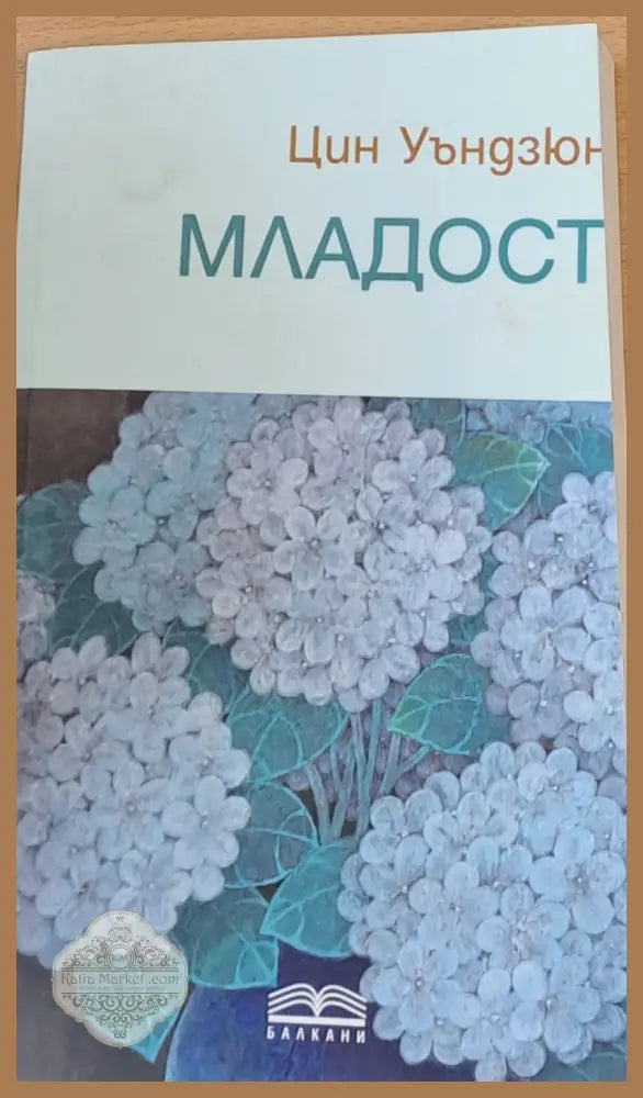Младост - Цин Уъндзюн - Книги