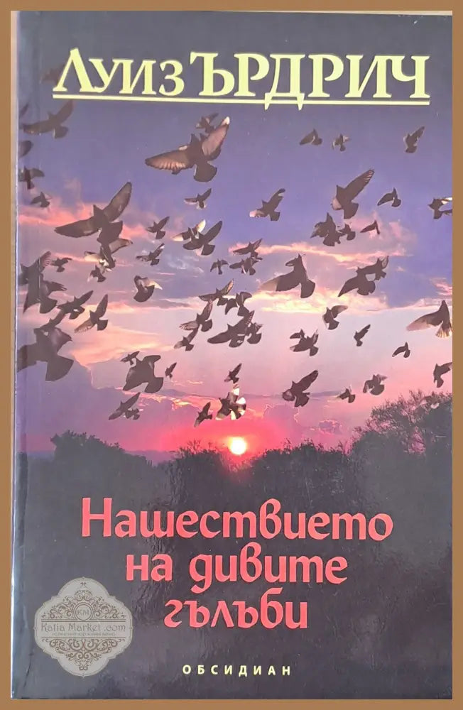Нашествието на дивите гълъби - Луиз Ърдрич - Книги