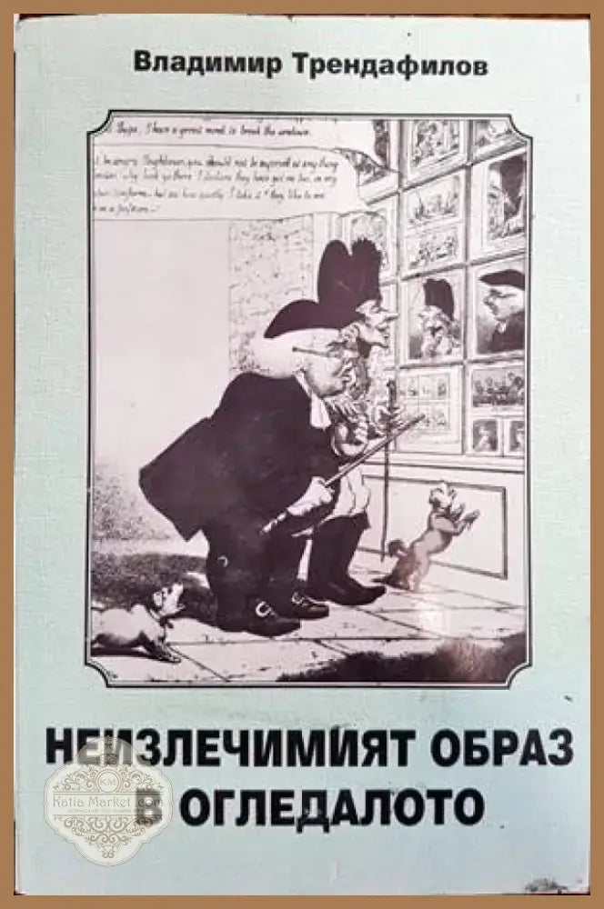 Неизлечимият образ в огледалото (242) - Книга