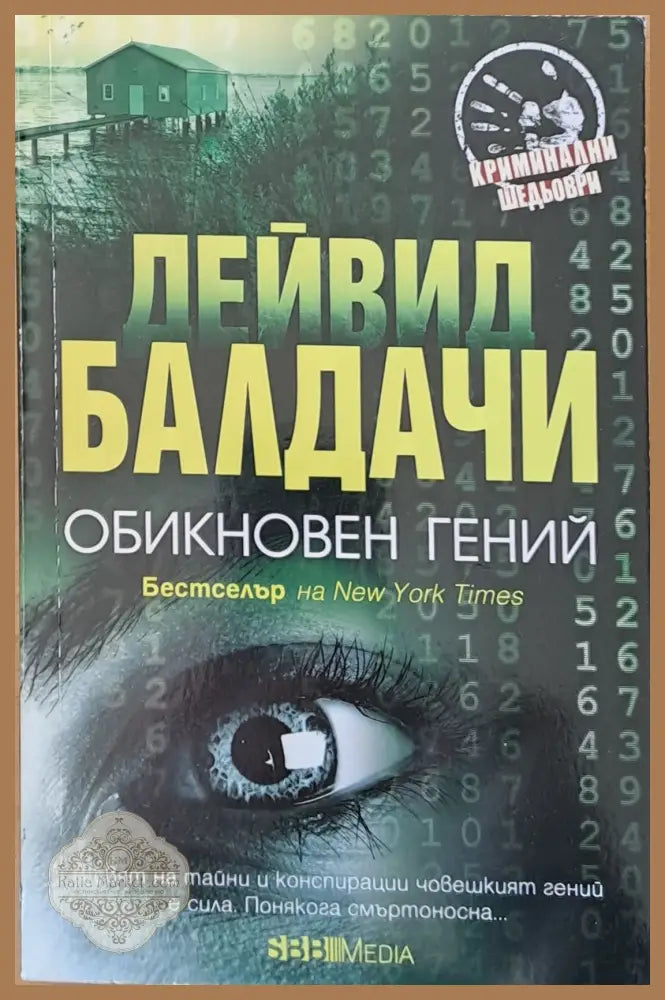 Обикновен гений - Дейвид Балдачи - Книги