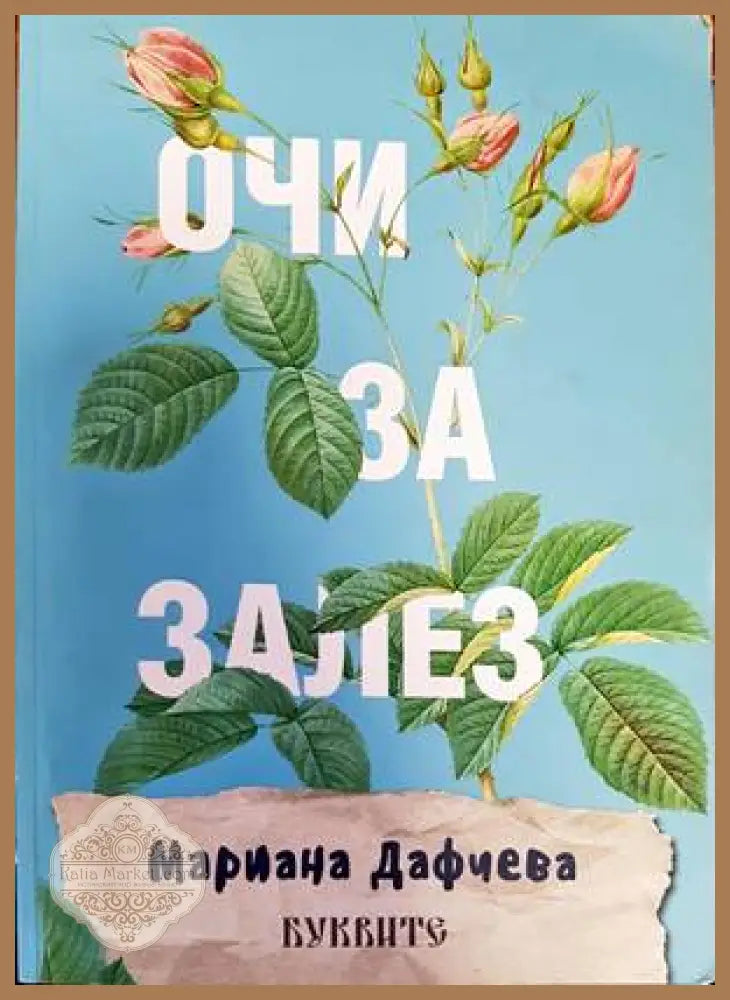 Очи за залез - Мариана Дафчева - Книга