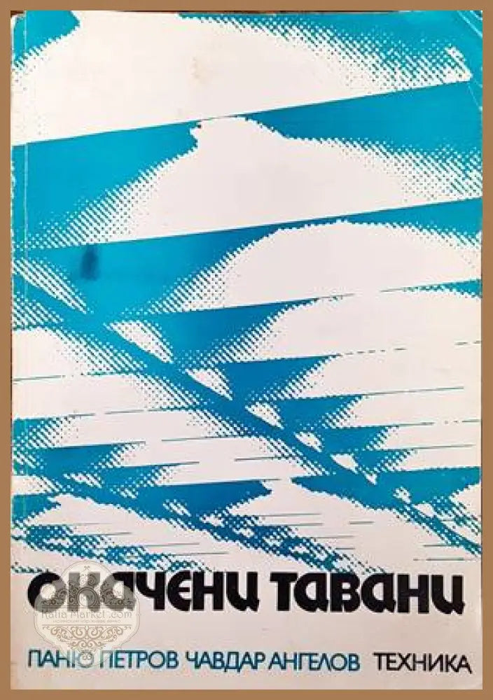 Окачени тавани - Паню Петров Чавдар Ангелов - Книги