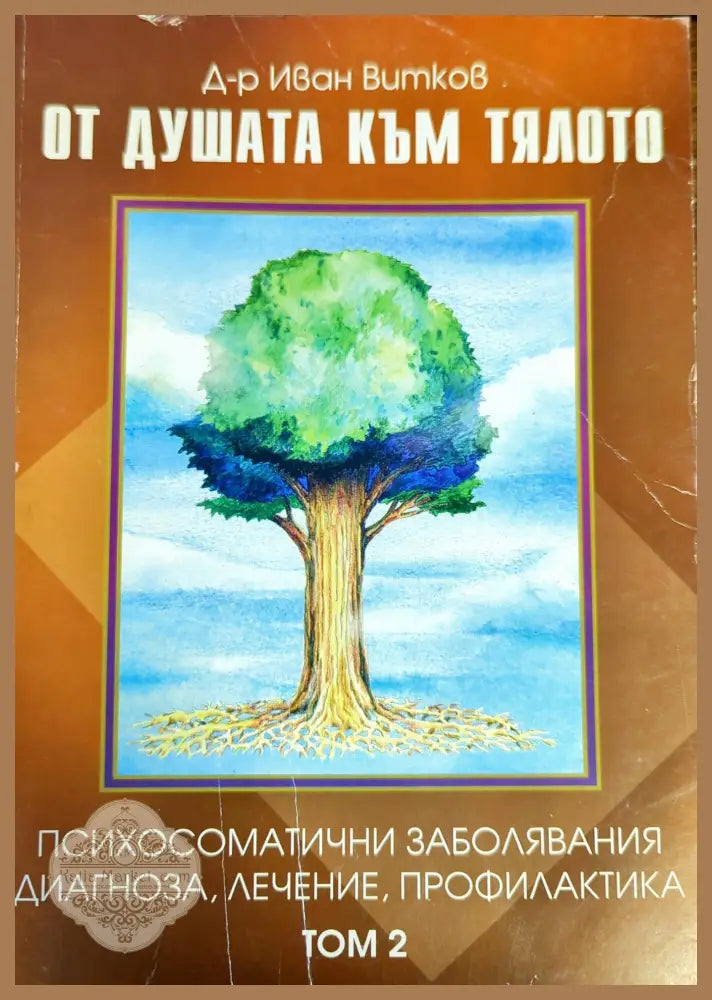 От душата към тялото. Том 2: Психоматични заболявания диагноза лечение профилактика - Иван Витков - Книги