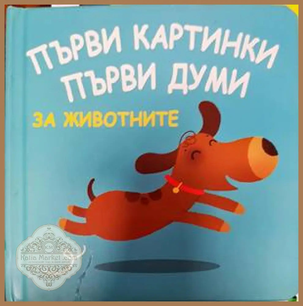 Първи картинки. Първи думи. - Колектив - Книги