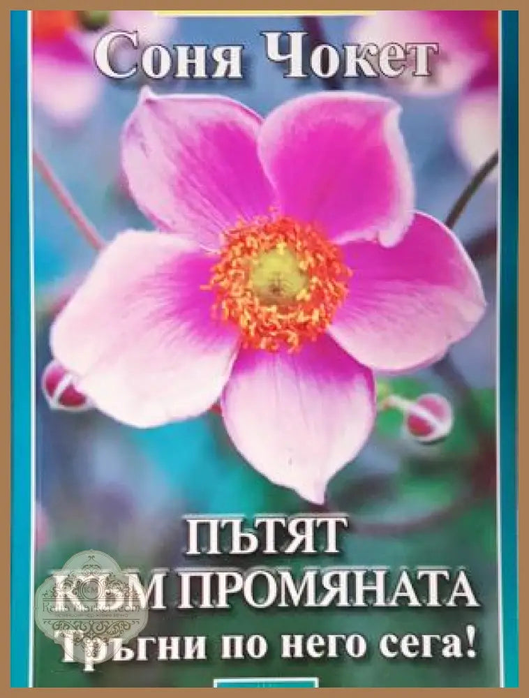 Пътят към промяната. Тръгни по него сега! - Соня Чокет - Книга