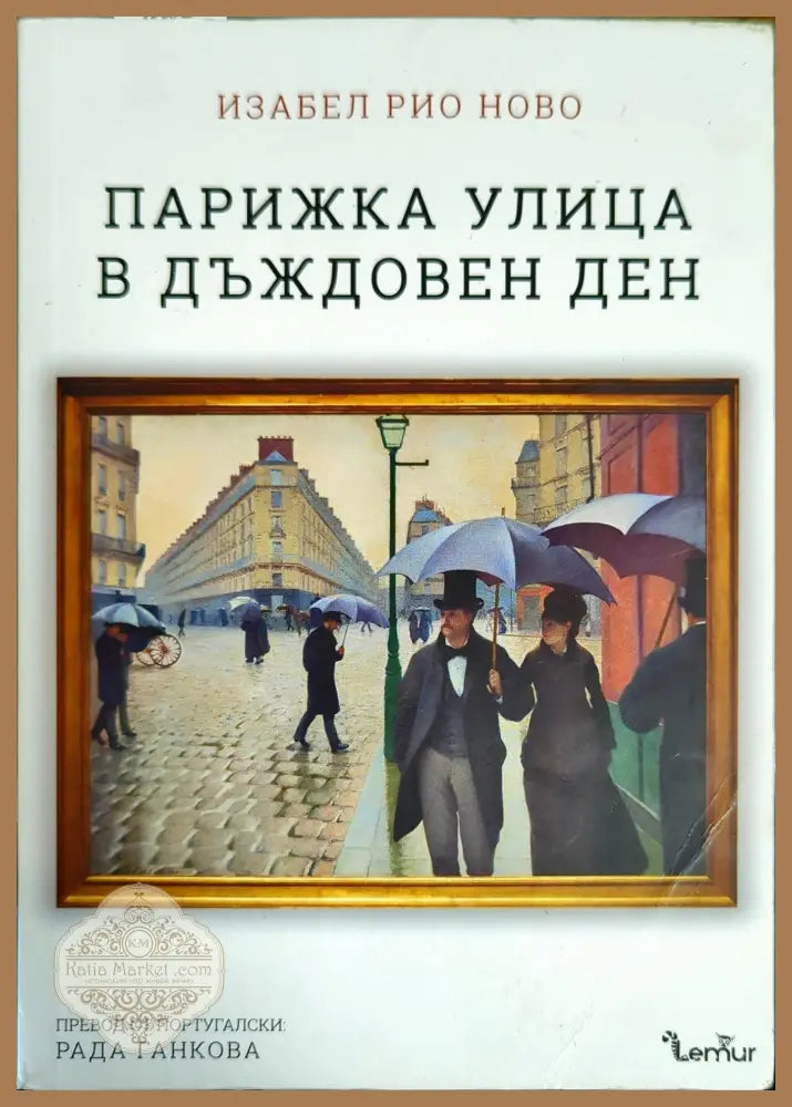 Парижка улица в дъждовен ден - Изабел Рио Ново - Книги