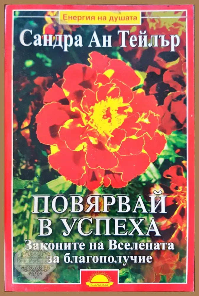 Повярвай в успеха - Законите на Вселената за благополучие - Сандра Ан Тейлър - Книги