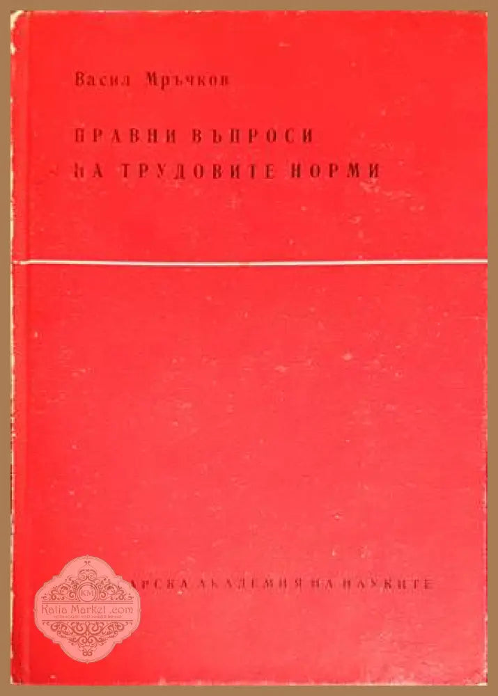 Правни въпроси на трудовите норми - Васил Мръчков - Книги