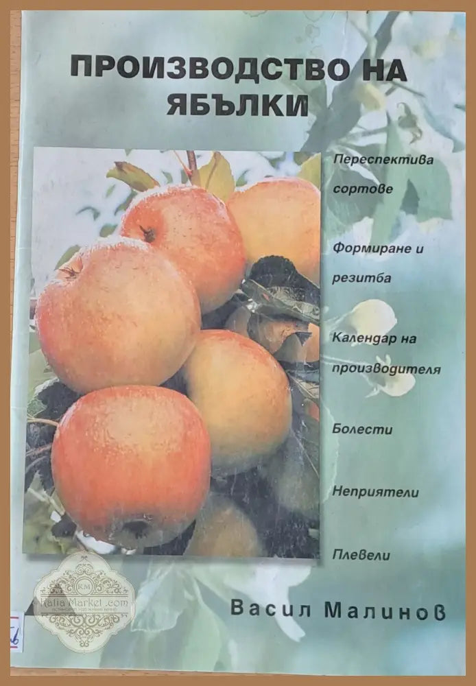 Производство на ябълки - Васил Малинов - Книги