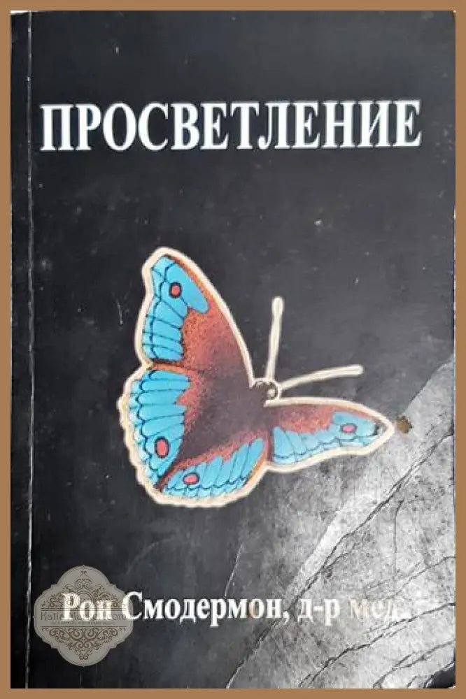 Просветление - Рон Смодермон - Рон Смодермон - Книга