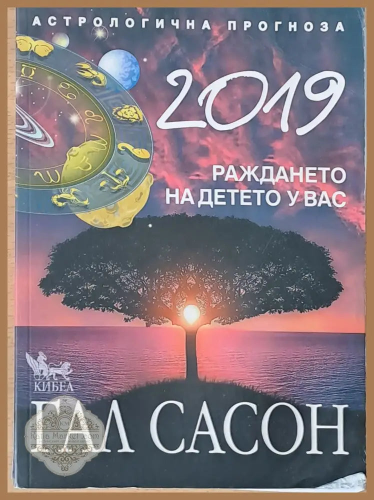 Раждането на детето у Вас - Гал Сасон - Книги
