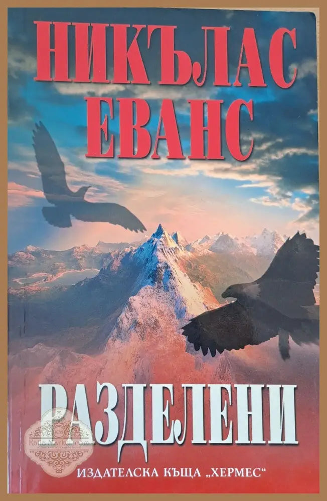 Разделени - Никълъс Еванс - Книги