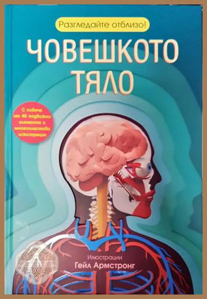 Разгледайте отблизо! Човешкото тяло - --- - Книги