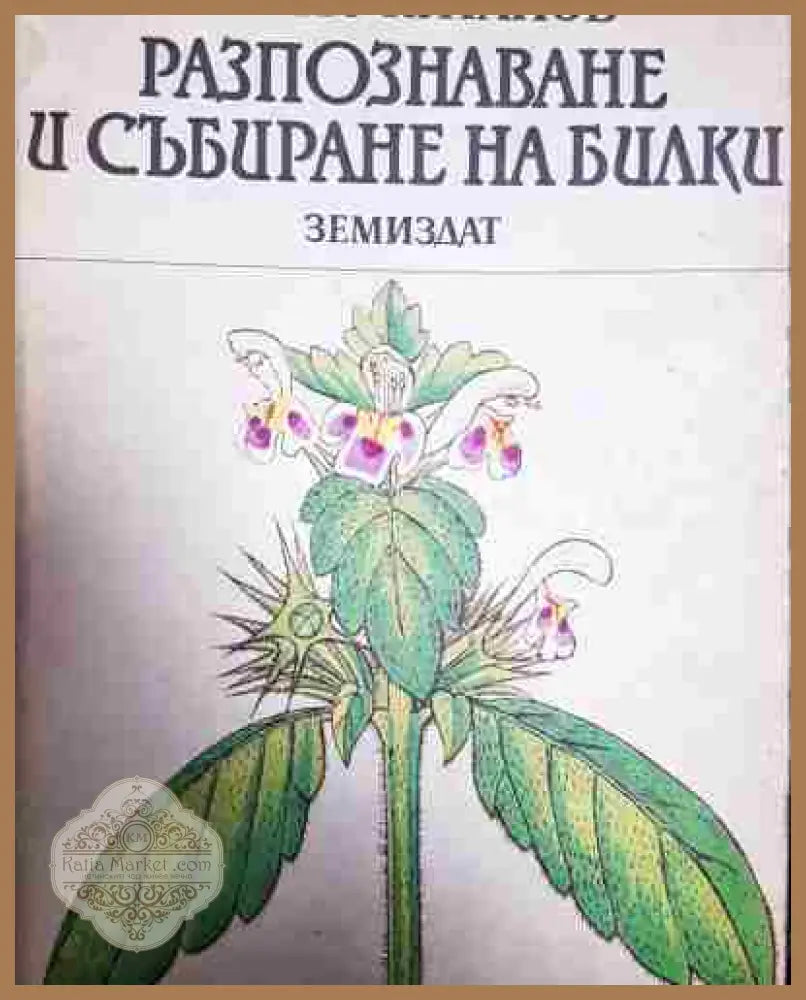 Разпознаване и събиране на билки - Борис Китанов - Борис Китанов - Книга